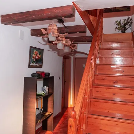 Casa Ursului Guest house