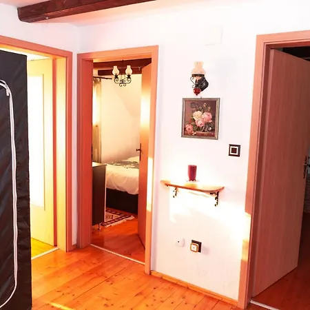 Casa Ursului Guest house *