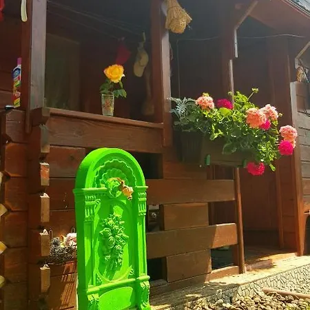 Guest house Casa Ursului Bujoreni