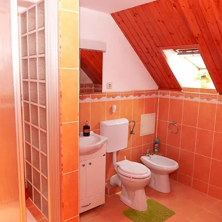 Guest house Casa Ursului
